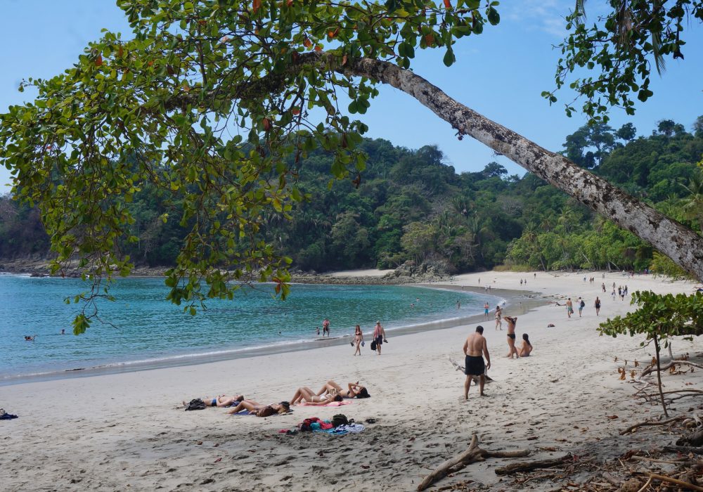 Playa Manuel Antonio (parc Manuel Antonio) - costa rica