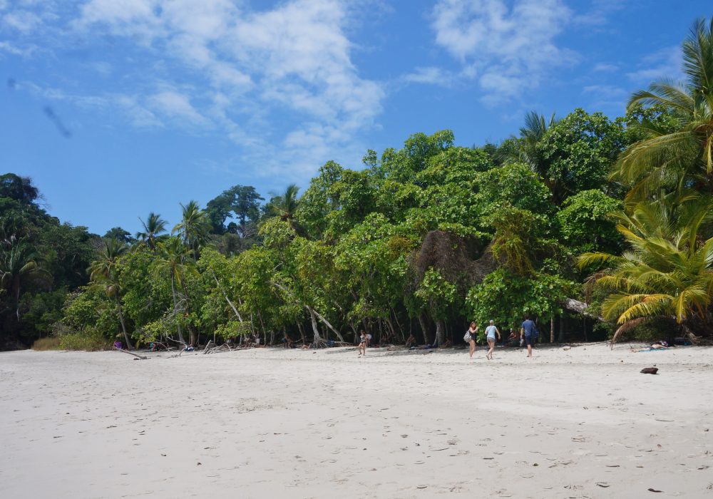 Playa Manuel Antonio (parc Manuel Antonio) - costa rica