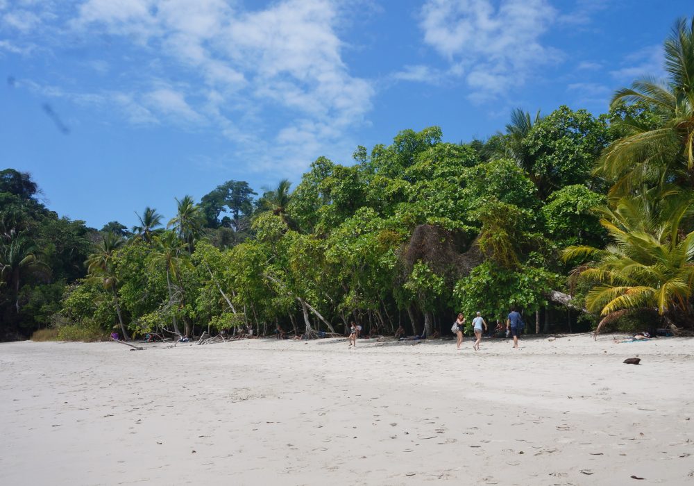 Plage du parc national Manuel Antonio - Costa rica