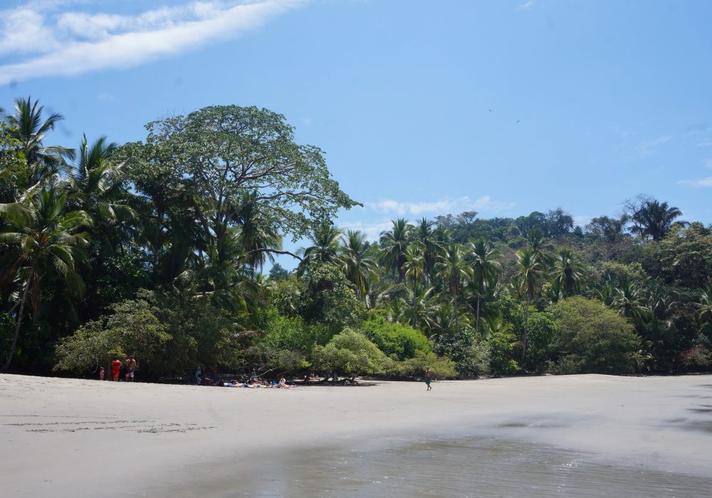 Playa Espadilla Sur (parc Manuel Antonio) - costa rica