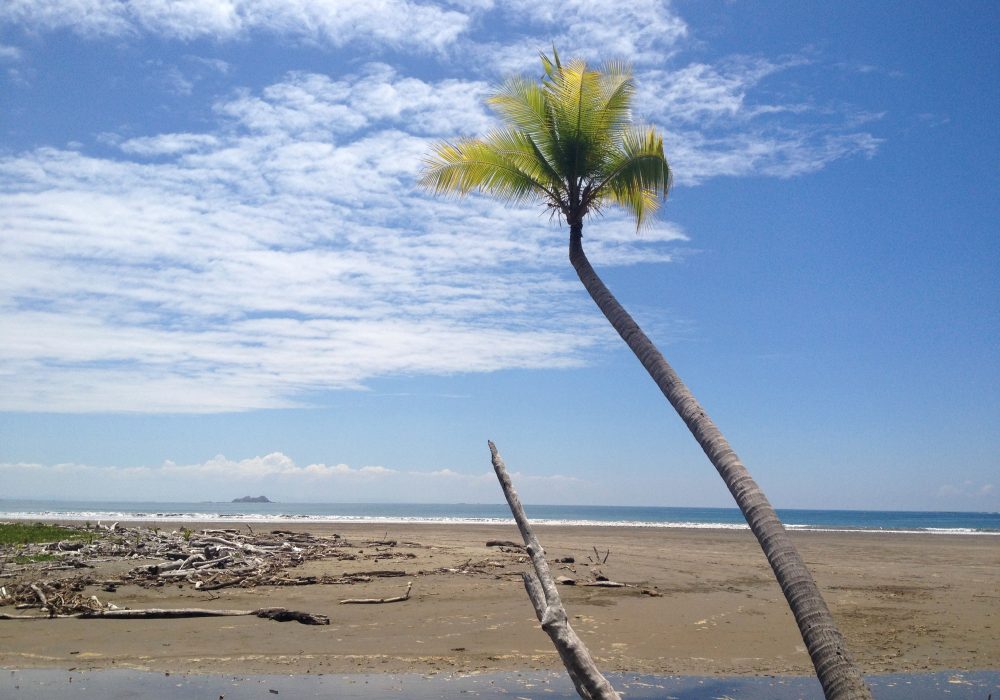 Plage du parc maritime Ballena - costa rica