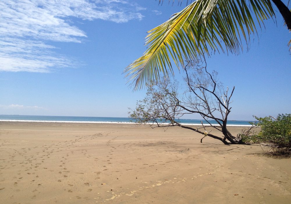 Plage du parc maritime Ballena - costa rica