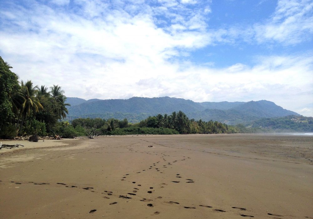 Plage du parc maritime Ballena - costa rica