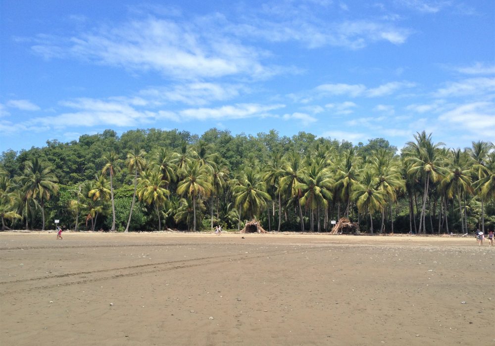 Plage du parc maritime Ballena - costa rica