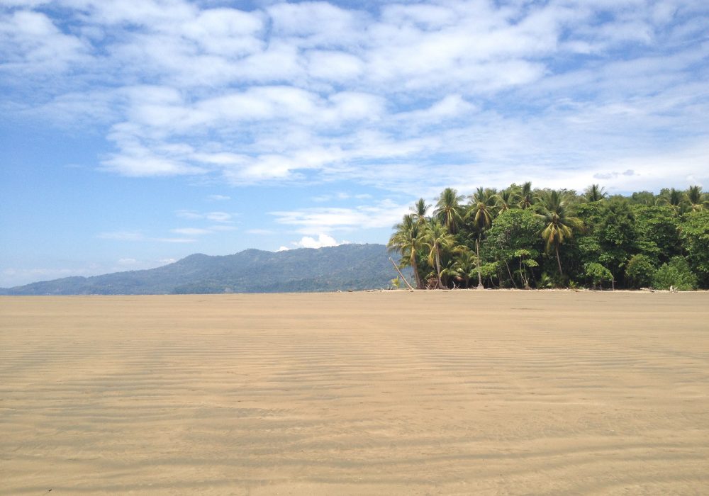 Plage du parc national maritime Ballena - Costa rica