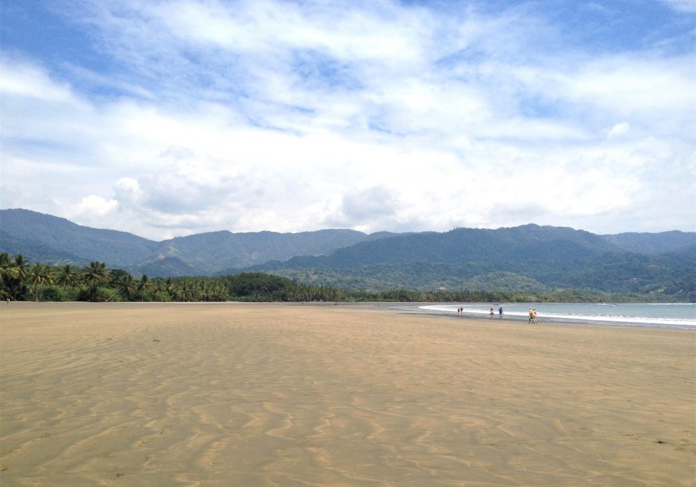 Plage du parc maritime Ballena - costa rica