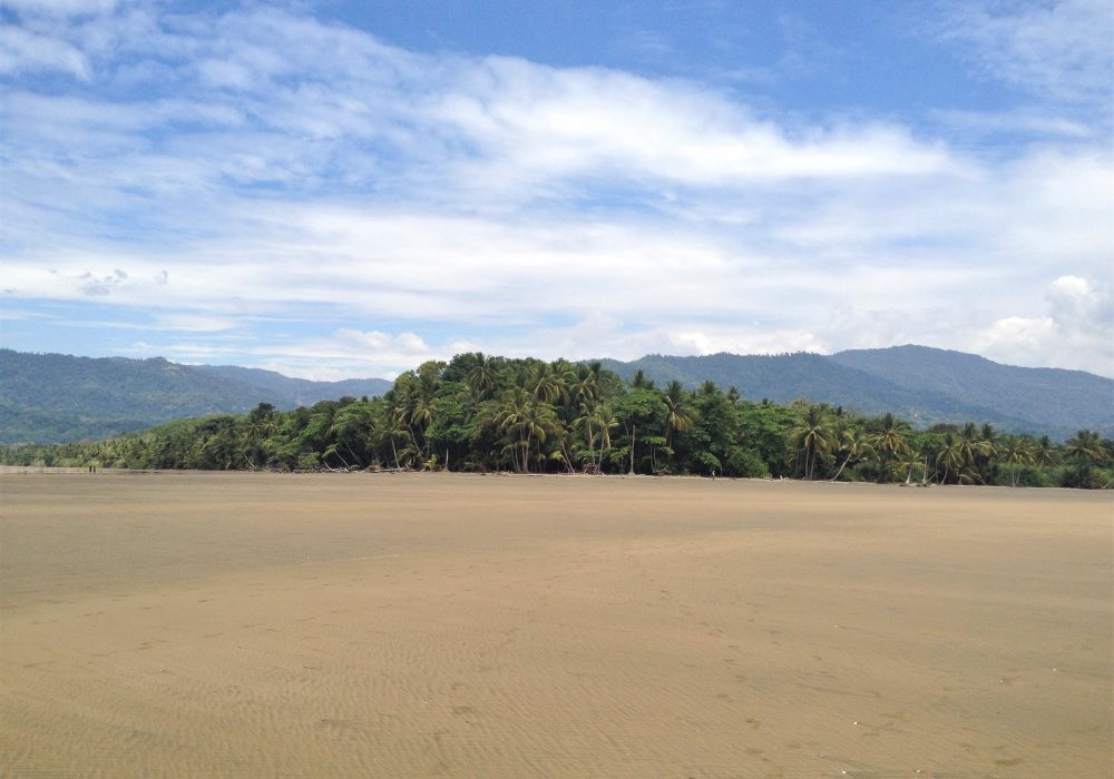 Plage du parc maritime Ballena - costa rica