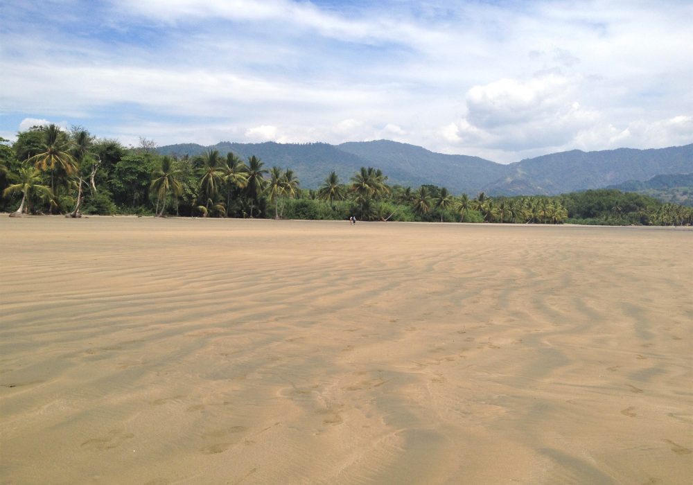 Plage du parc maritime Ballena - costa rica