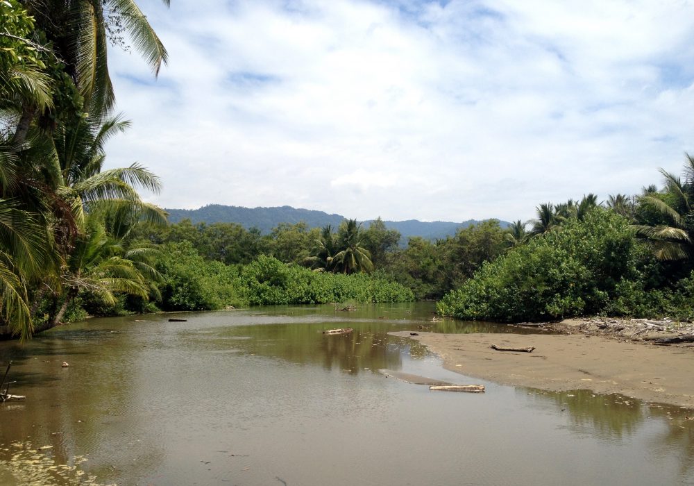 Parc maritime Ballena - Costa rica