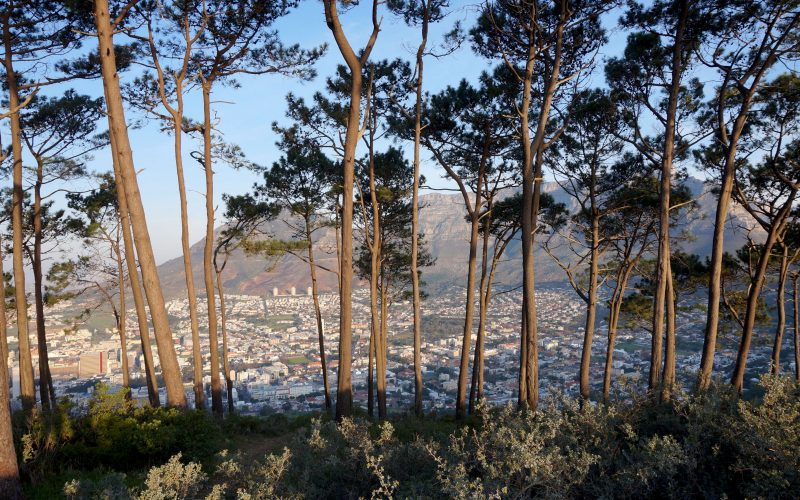 Cape town, signal hill, afrique du sud