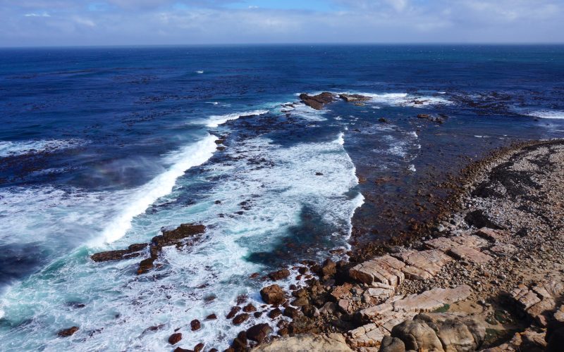 Cap de Bonne espérance, afrique du Sud