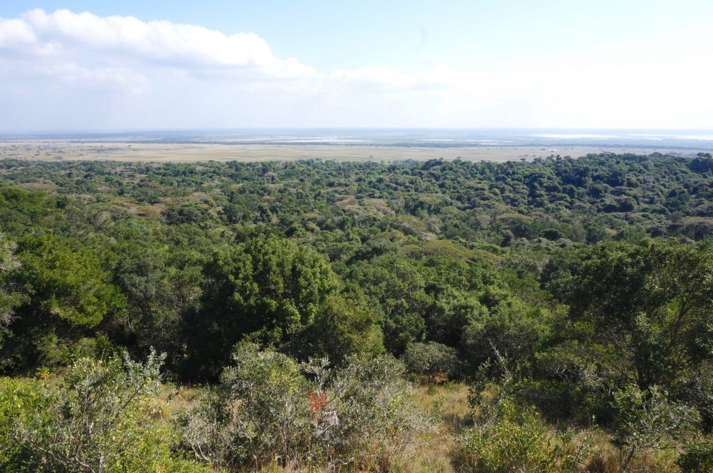 Mission Rocks, iSimangaliso Wetland Park, st lucia, afrique du sud