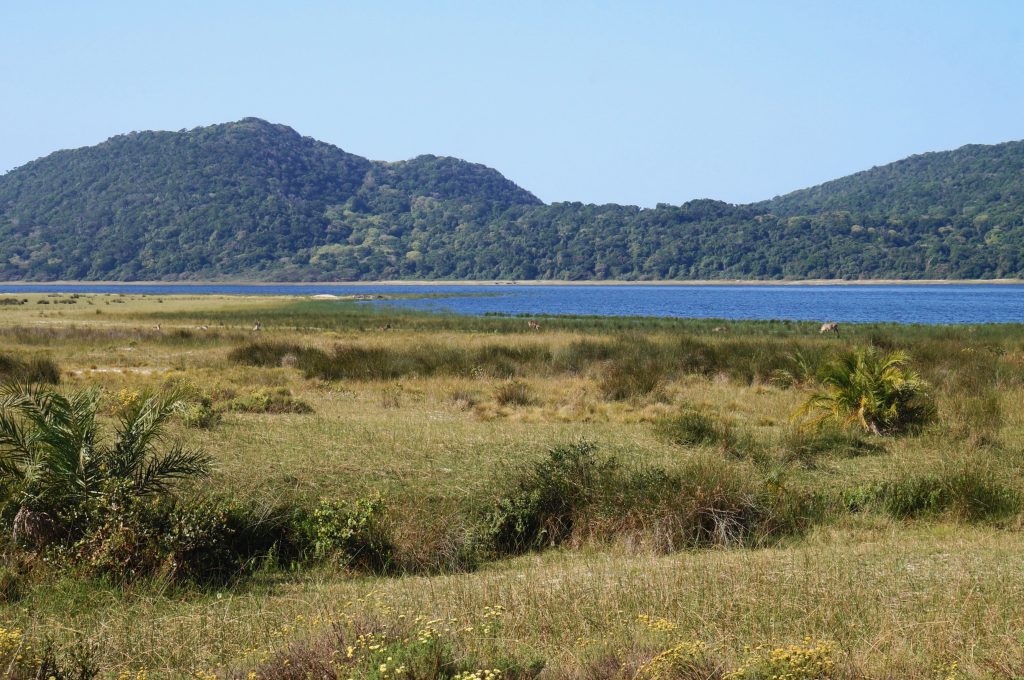 Réserve iSimangaliso Wetland Park, st lucia, afrique du sud