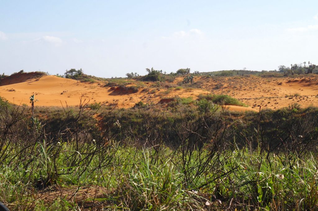 Red dune, Réserve iSimangaliso Wetland Park, st lucia, afrique du sud