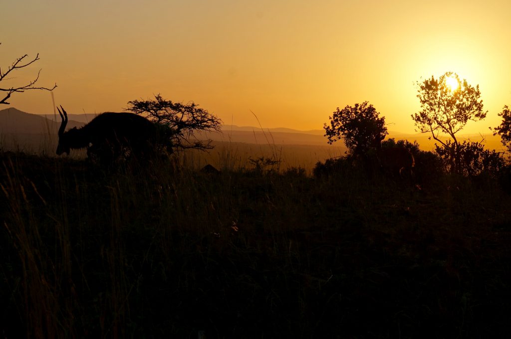 Coucher de soleil, Lodge Zulu Nyala heritage, afrique du sud