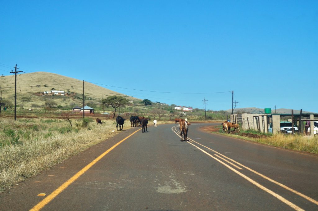 route d'Afrique du sud