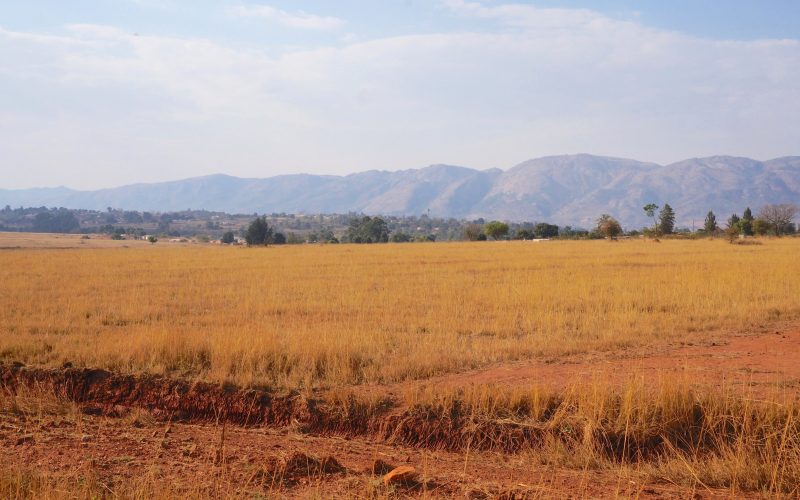 Mlilwane Wildlife Sanctuary, Swaziland