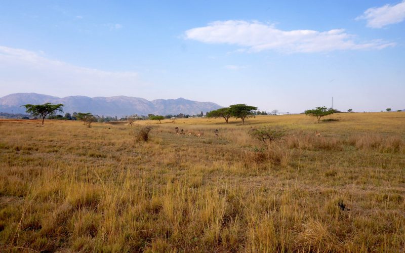 Mlilwane Wildlife Sanctuary, Swaziland