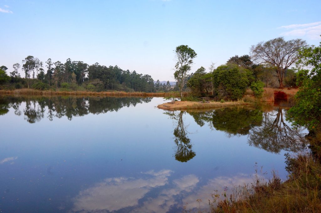 lac hippo, Mlilwane Wildlife Sanctuary, Swaziland