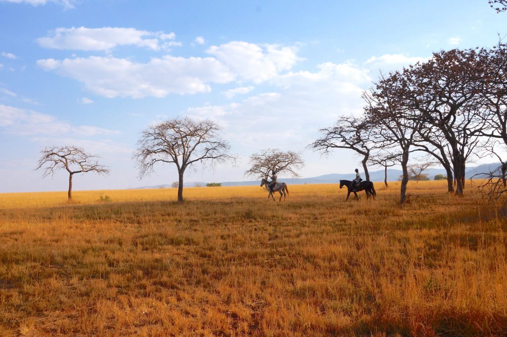 Mlilwane Wildlife Sanctuary, Swaziland