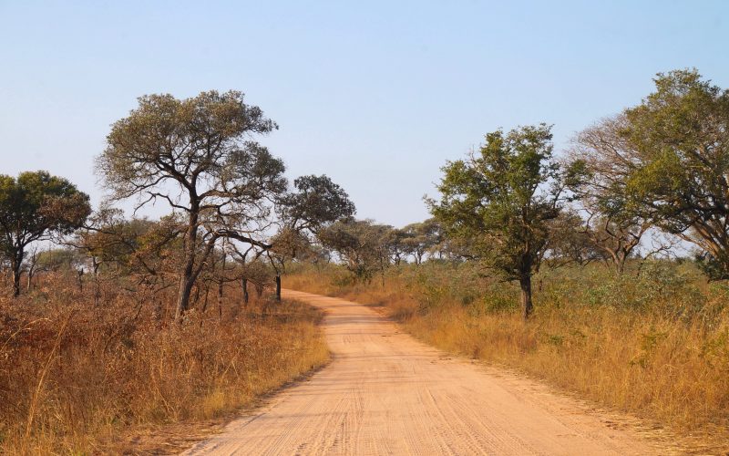 parc kruger, afrique du sud