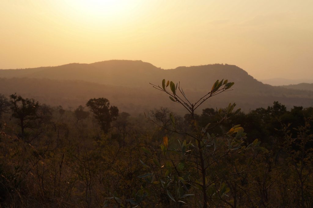 coucher de soleil, afrique du sud, parc kruger