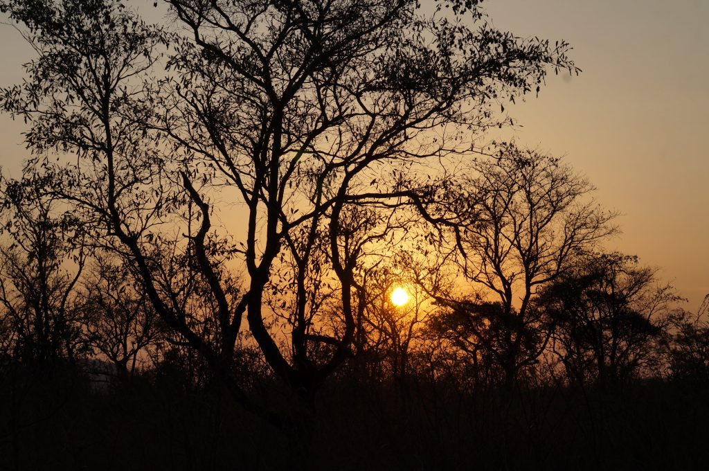 coucher de soleil, afrique du sud, parc kruger