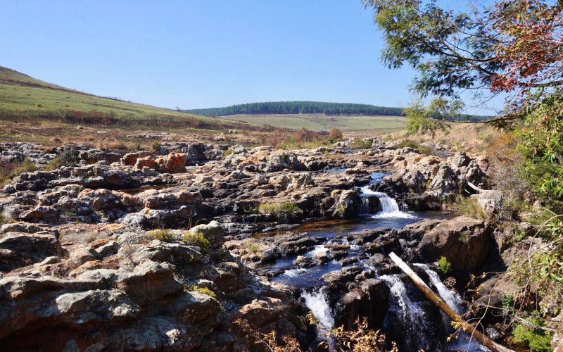 lisbon falls, afrique du sud