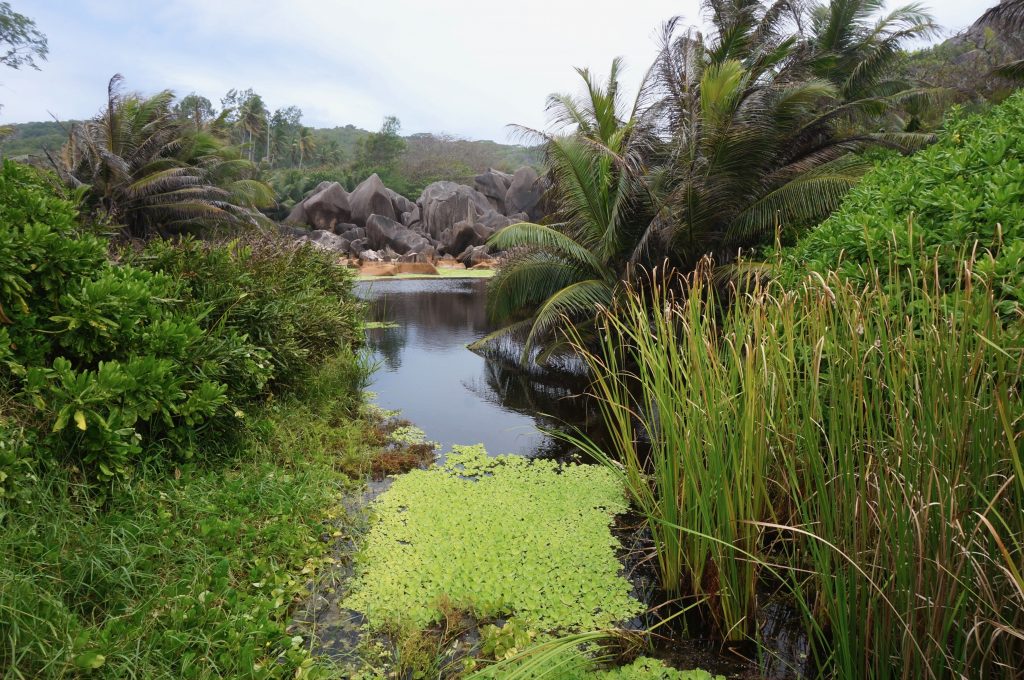 grand Anse, île La Digue, Seychelles