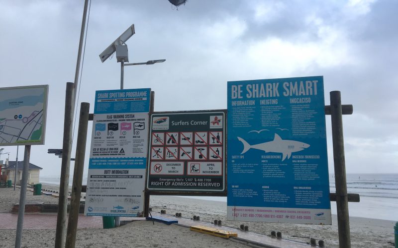 Panneau requin, Muizenberg beach, Cape Town, Afrique du Sud