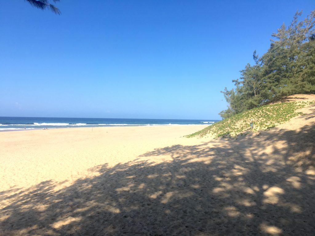 Plage de Cape Vidal, iSimangaliso Wetland Park, st lucia, afrique du sud