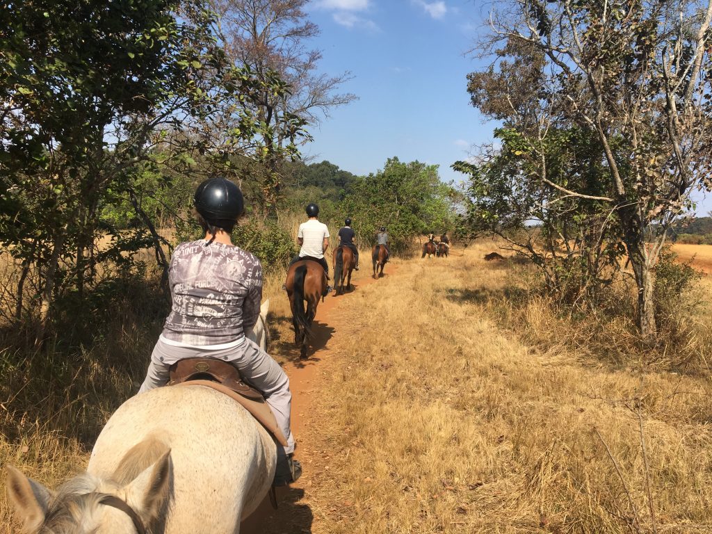 équitation, Mlilwane Wildlife Sanctuary, Swaziland