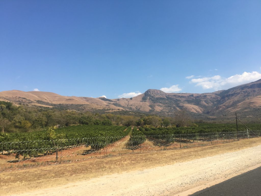 route afrique du sud