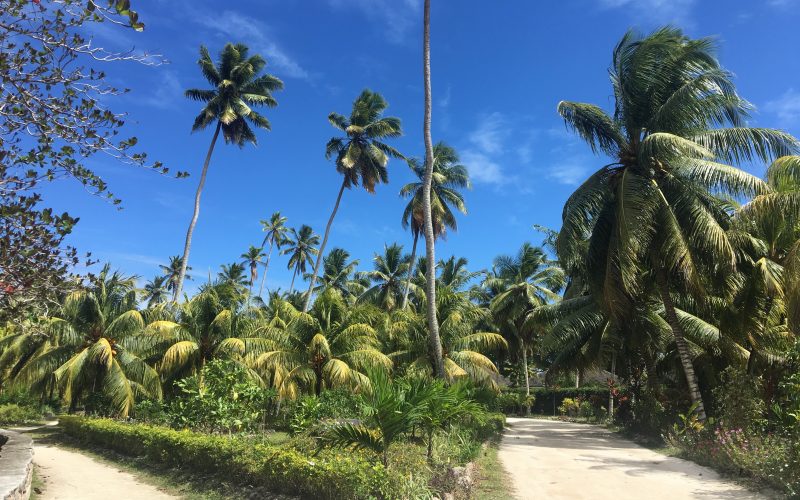 Union estate, la digue, seychelles, anse source d'argent