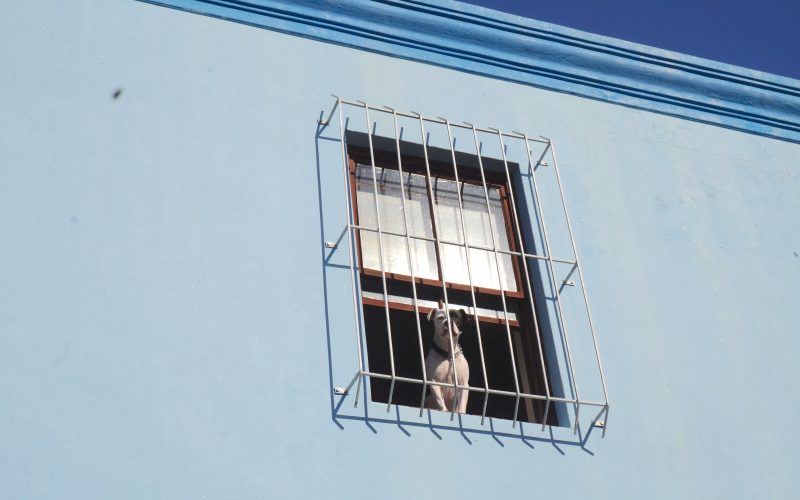 Bo-Kaap, Cape Town, Afrique du Sud