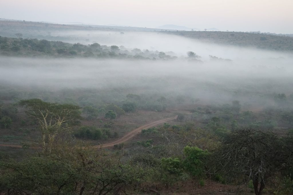 Lodge Zulu Nyala heritage, afrique du sud