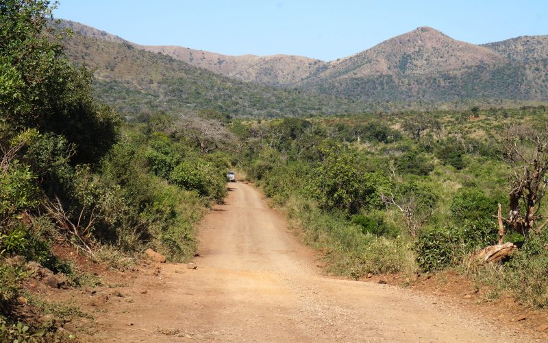 parc hluhluwe imfolozi, afrique du sud