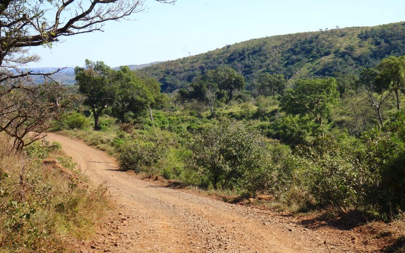 parc hluhluwe imfolozi, afrique du sud