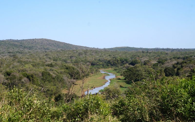 parc hluhluwe imfolozi, afrique du sud