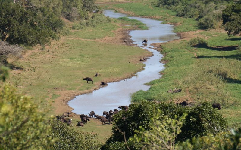 parc hluhluwe imfolozi, afrique du sud