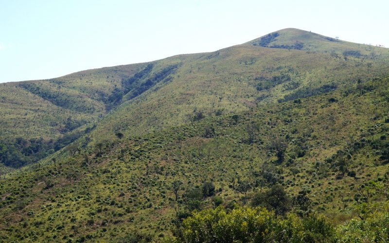 parc hluhluwe imfolozi, afrique du sud