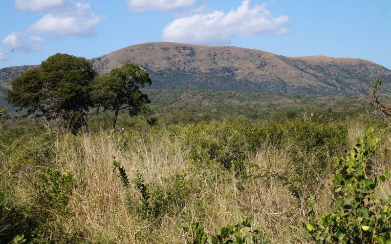 parc hluhluwe imfolozi, afrique du sud