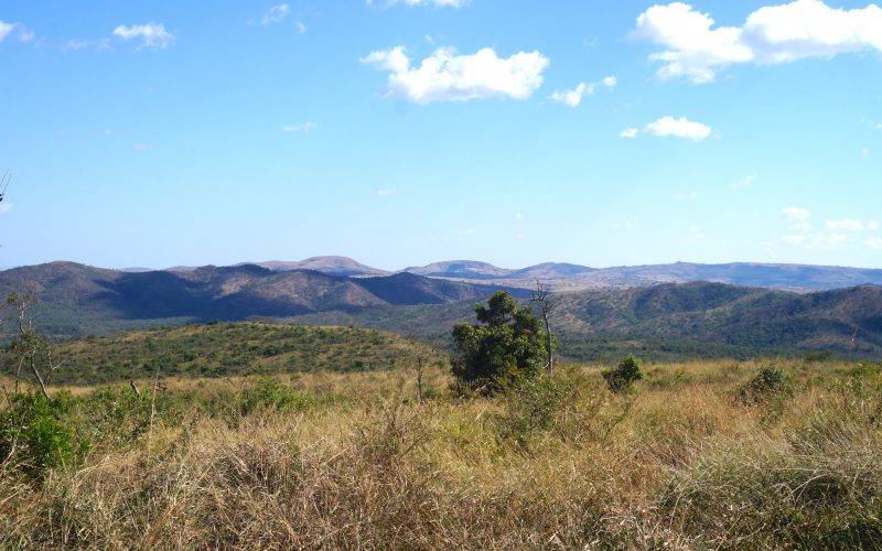 parc hluhluwe imfolozi, afrique du sud