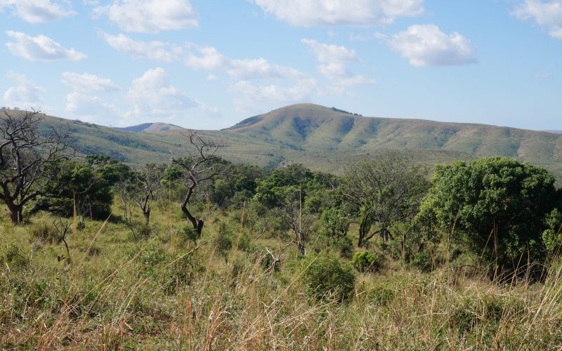 parc hluhluwe imfolozi, afrique du sud