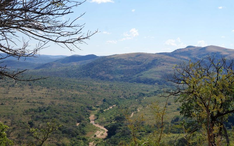 parc hluhluwe imfolozi, afrique du sud