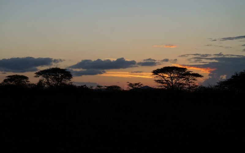 coucher de soleil, réserve zulu nyala, afrique du sud