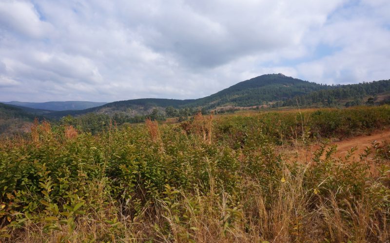 Poacher's View Point, Mlilwane wildlife sanctuary, Swaziland