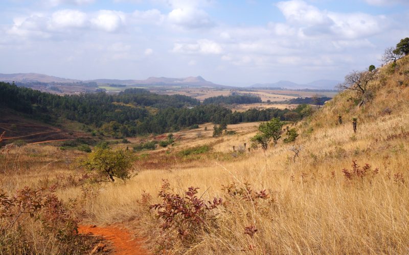 Old jeep track, Mlilwane wildlife sanctuary, Swaziland