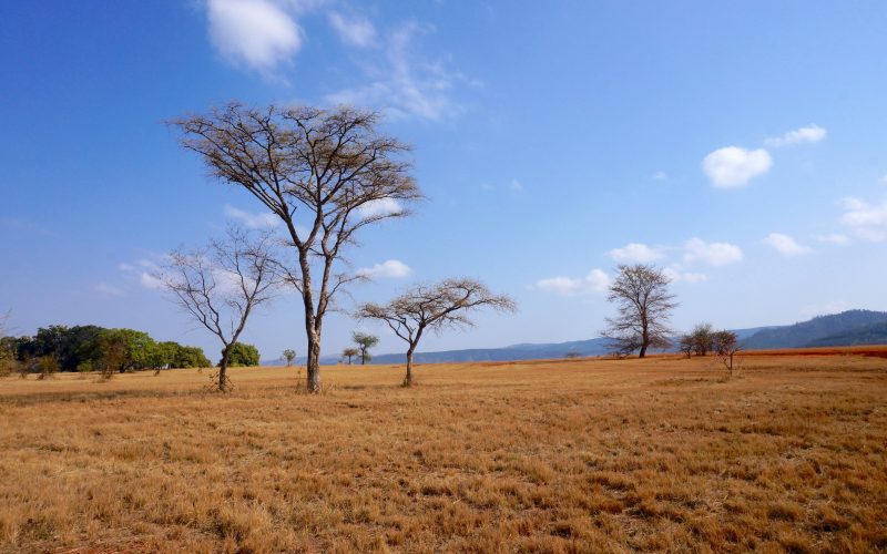 Mlilwane Wildlife Sanctuary, Swaziland