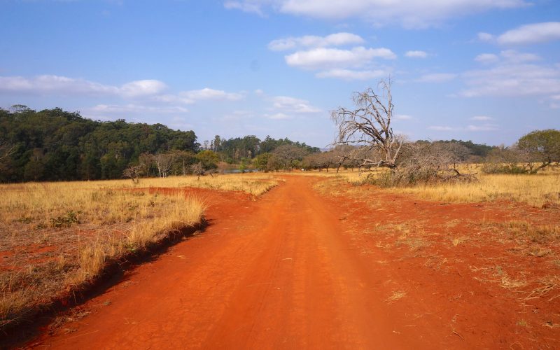 Mlilwane Wildlife Sanctuary, swaziland